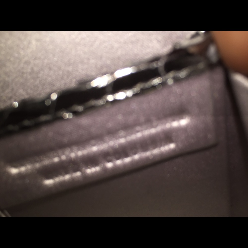 Nancy Gonzalez Python Metallic Clutch Complete - image 6